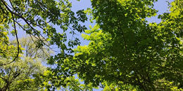 六月初夏，北京周边户外还能怎么玩？